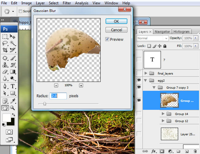 hippo, photoshop, nest, egg, shell, flying hippo, cute, baby, wings, hippopotamus, feathers